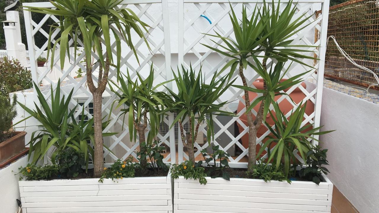 Panorama da Cartolina Apartment Ischia Bagian luar foto